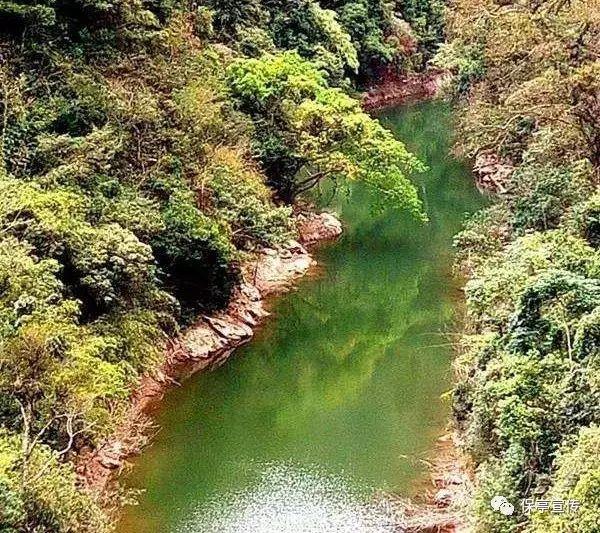 桂林信息科技学院新校区在哪里？